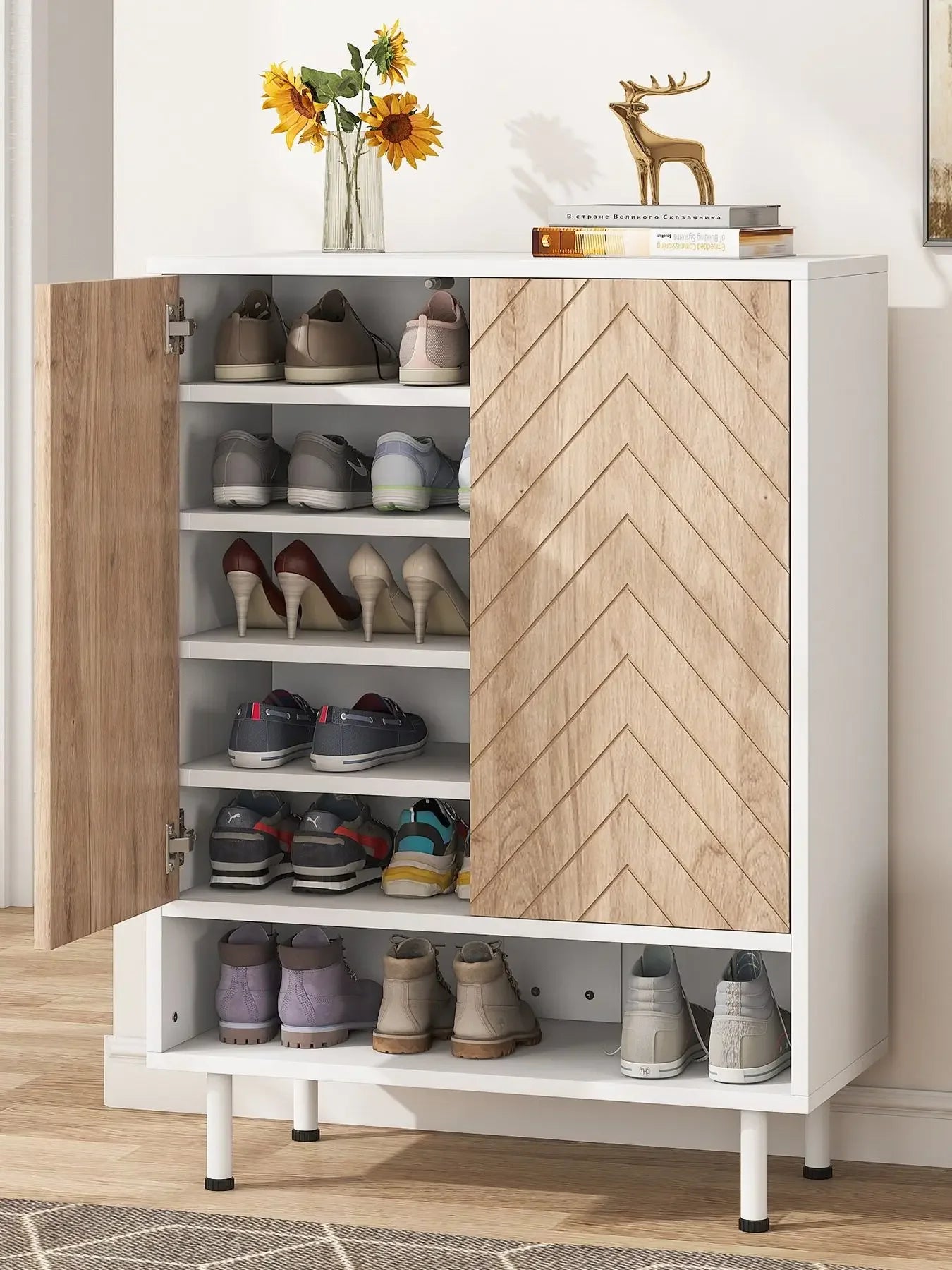 18 Pair Shoe Cabinet Organizer With Door