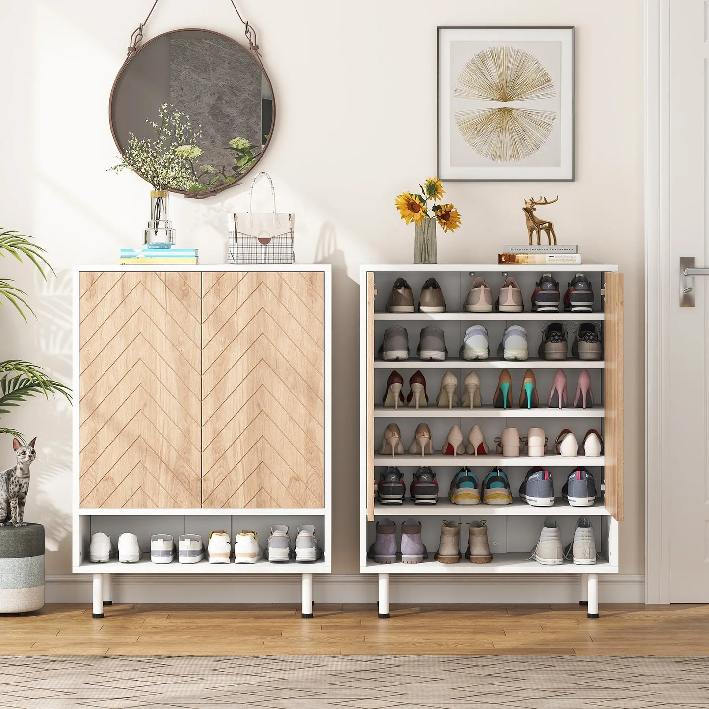 18 Pair Shoe Cabinet Organizer With Door