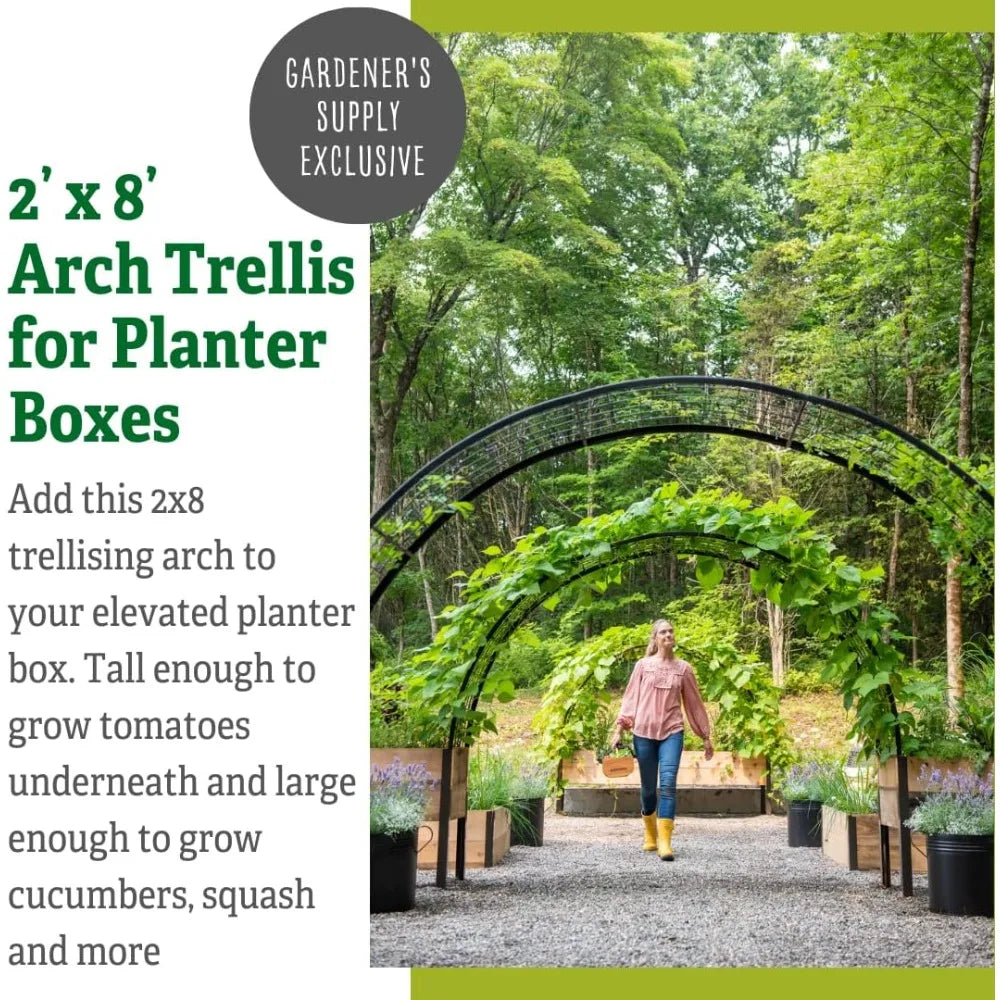 Arch Trellis Elevated For Planter Box