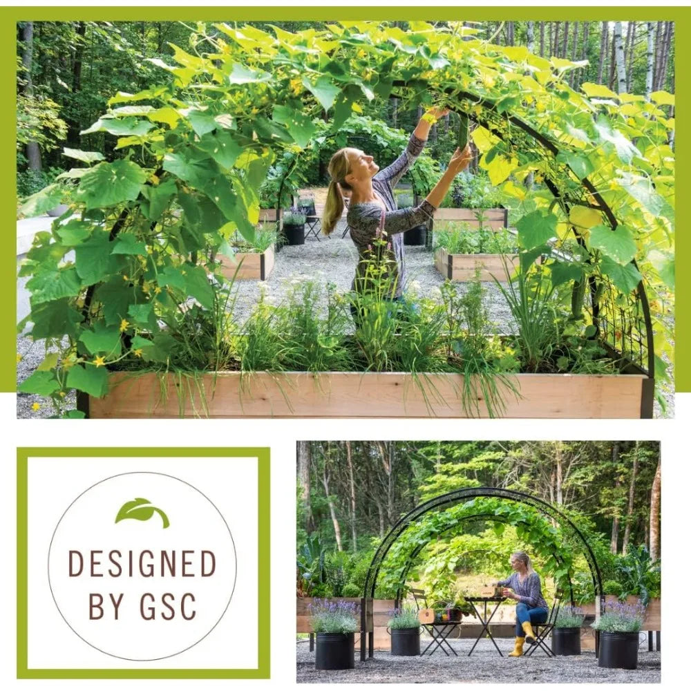 Arch Trellis Elevated For Planter Box