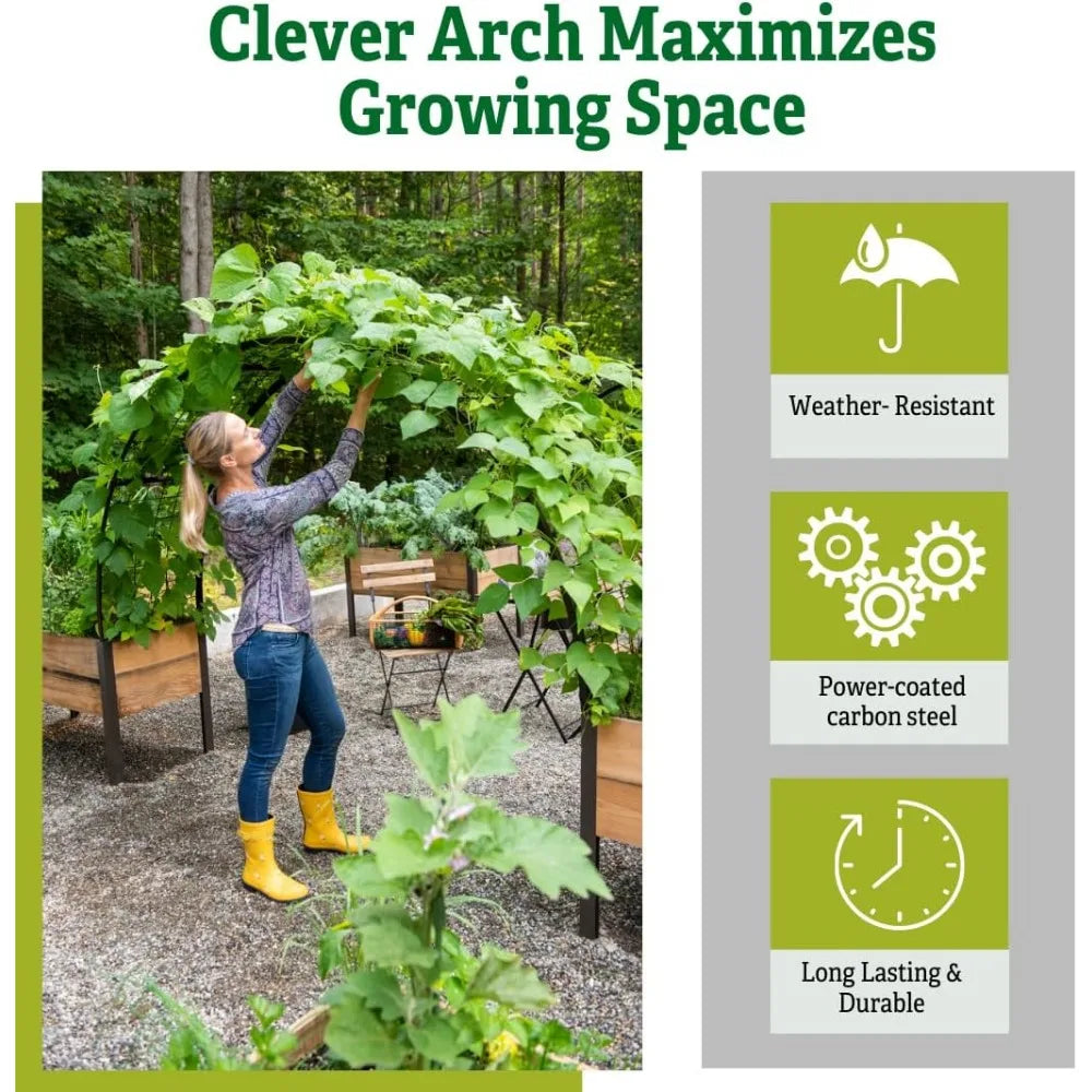 Arch Trellis Elevated For Planter Box
