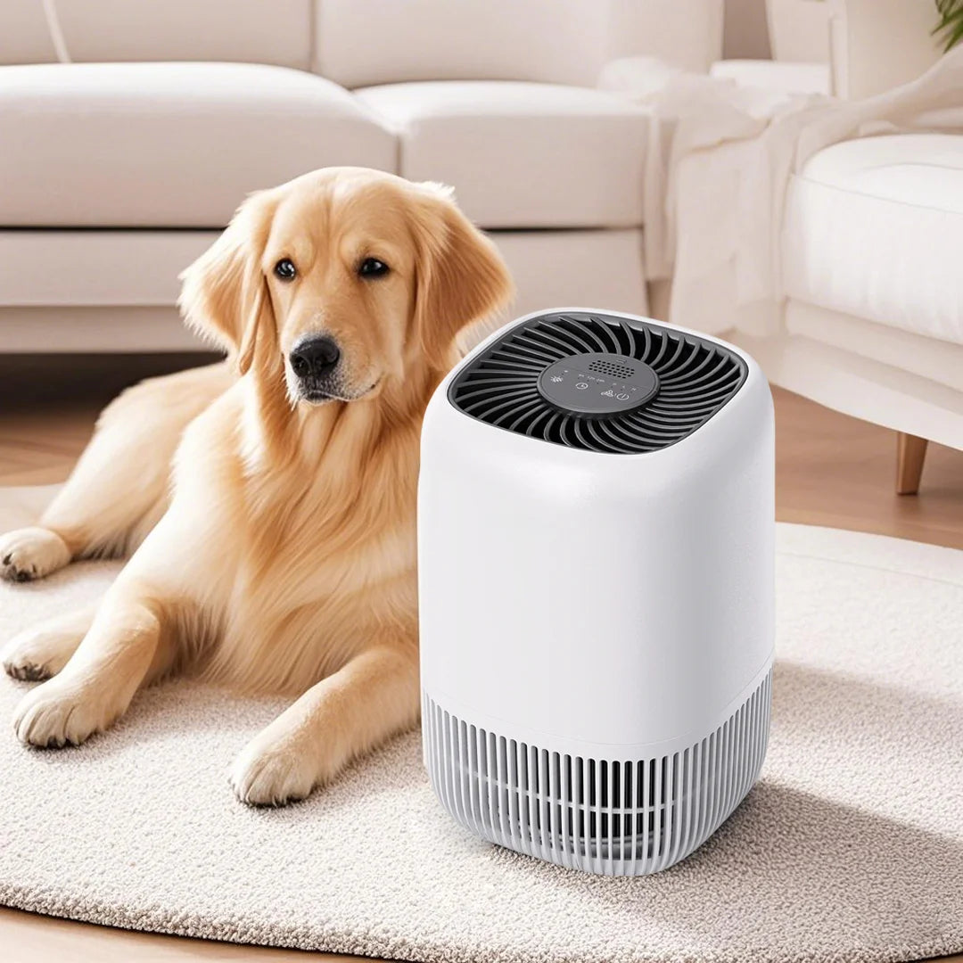 Portable Air Purifier with HEPA Filter