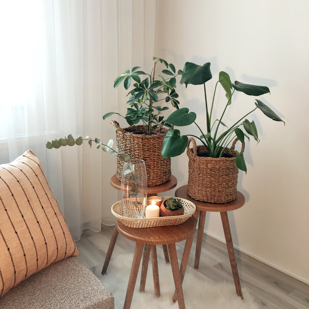 Decor