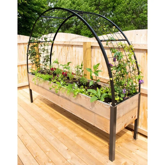 Arch Trellis Elevated For Planter Box