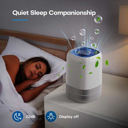 Portable Air Purifier with HEPA Filter